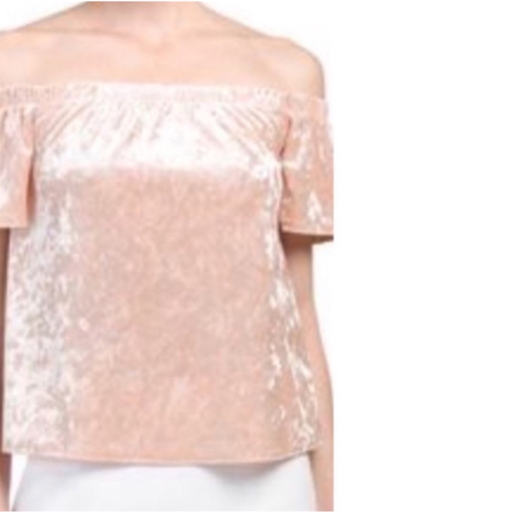 NWOT NYTT Crushed Velvet Off-the-Shoulder Top, Beige, Large